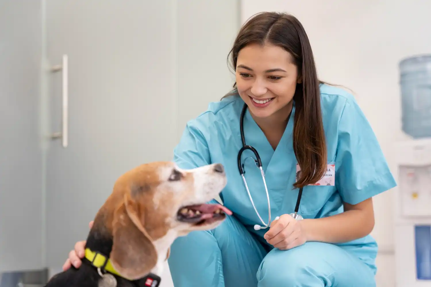 Radiología, ecografía y analíticas en el centro.